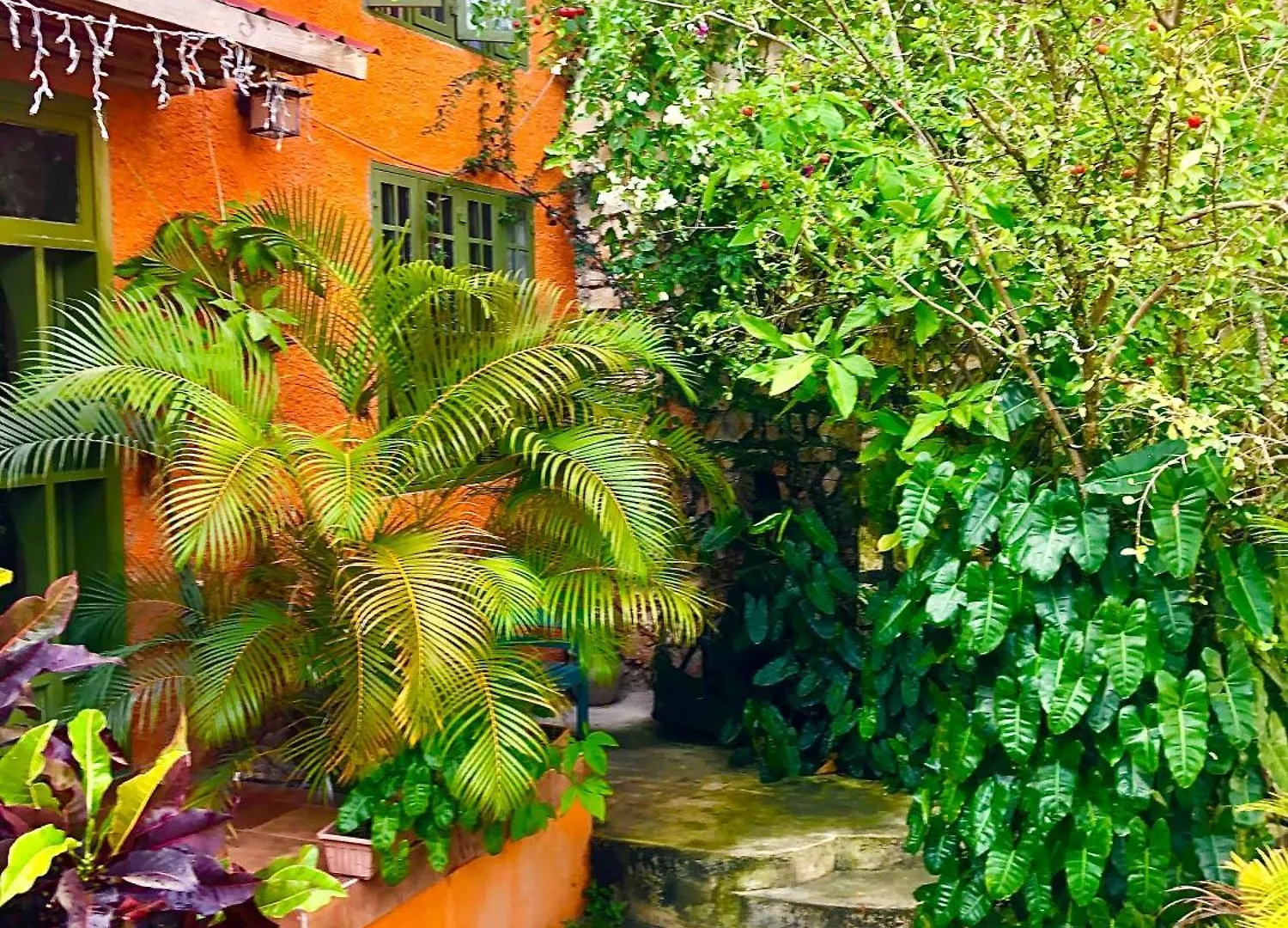 Alojamento de Acomodação e Pequeno-almoço Les Residences Etang Du Jonc Pétionville Haiti